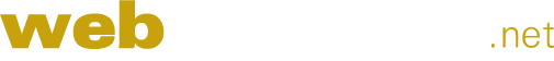 Custom website design